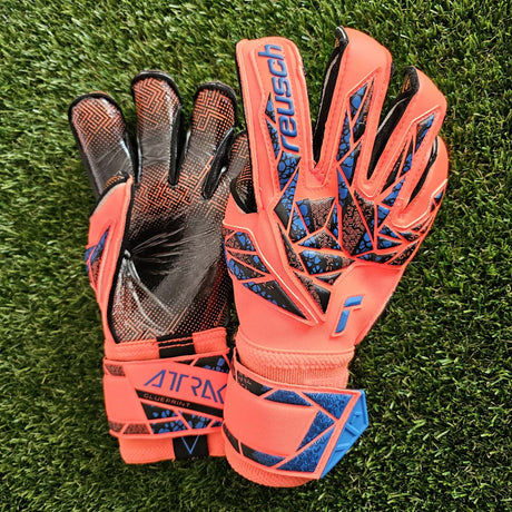 Attrakt Gold X Evolution GluePrint