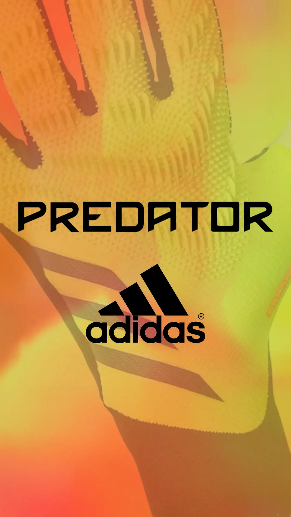 Guanti Adidas Predator 2024