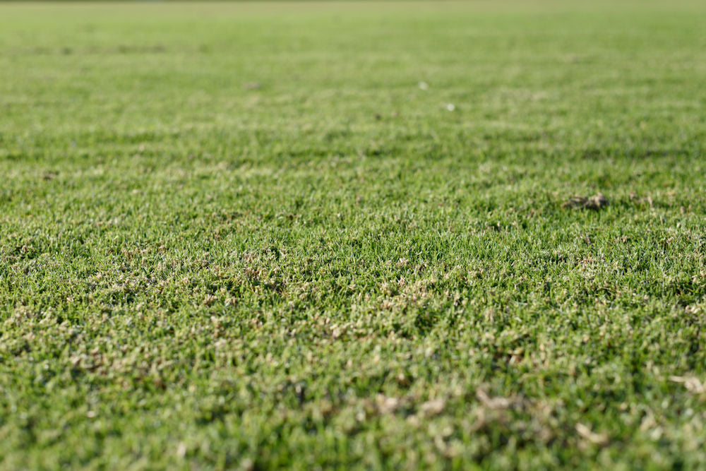 Consigli per proteggerti se giochi e ti alleni sull'erba sintetica