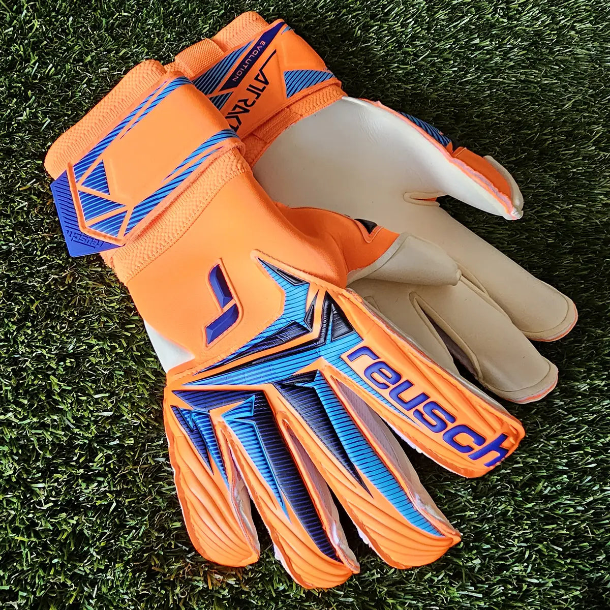 Attrakt Gold X Evolution World Cup