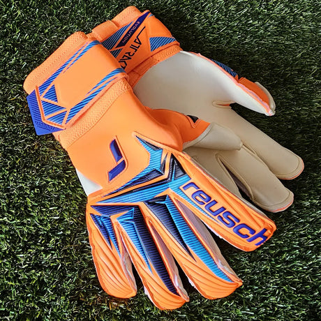 Attrakt Gold X Evolution World Cup