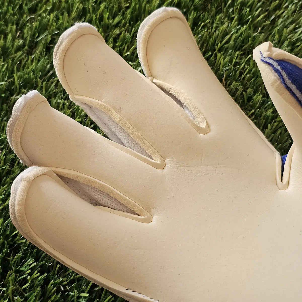 Guanti da portiere Reusch Attrakt Gold X Evolution GK26 taglio dita