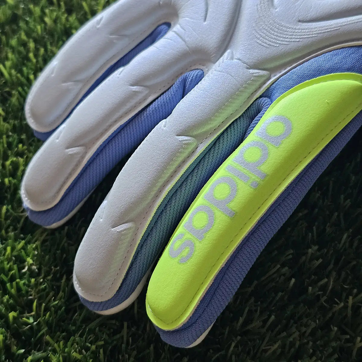Guanti da portiere Adidas Copa Pro Celestial Victory dita dorso