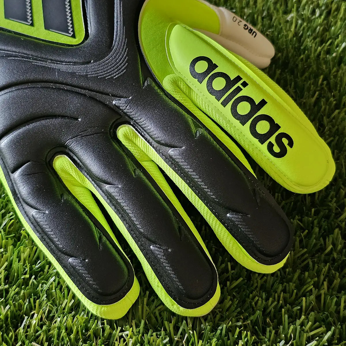 Guanti da portiere Adidas Copa Pro Radiant Blaze dita dorso