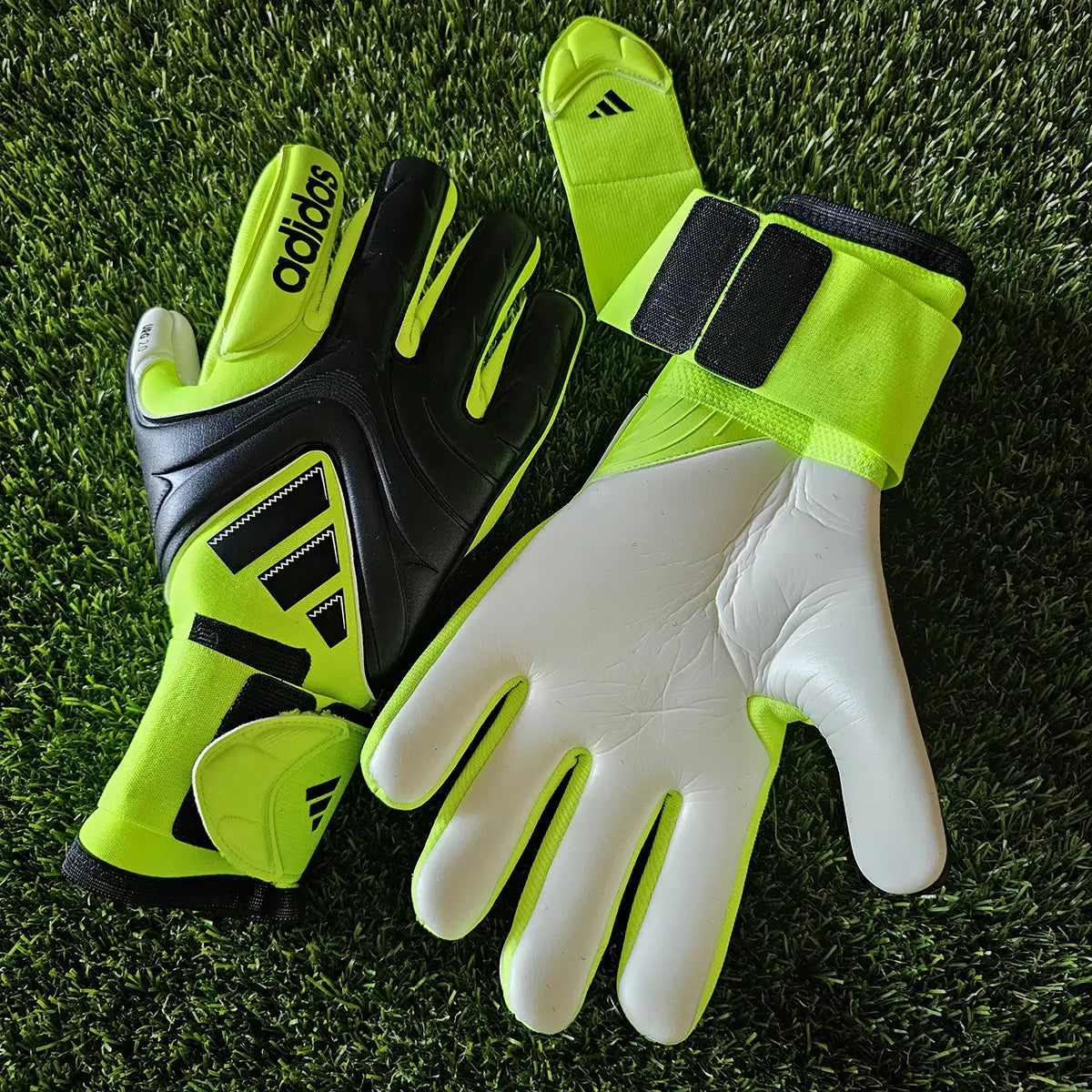 Adidas Copa Pro Radiant Blaze