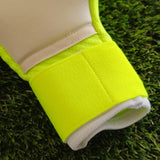 Guanti da portiere Puma Future Pro Hybrid Audacity base palmo