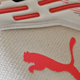 Guanti da portiere Puma Future Pro Hybrid The Arrival dorso