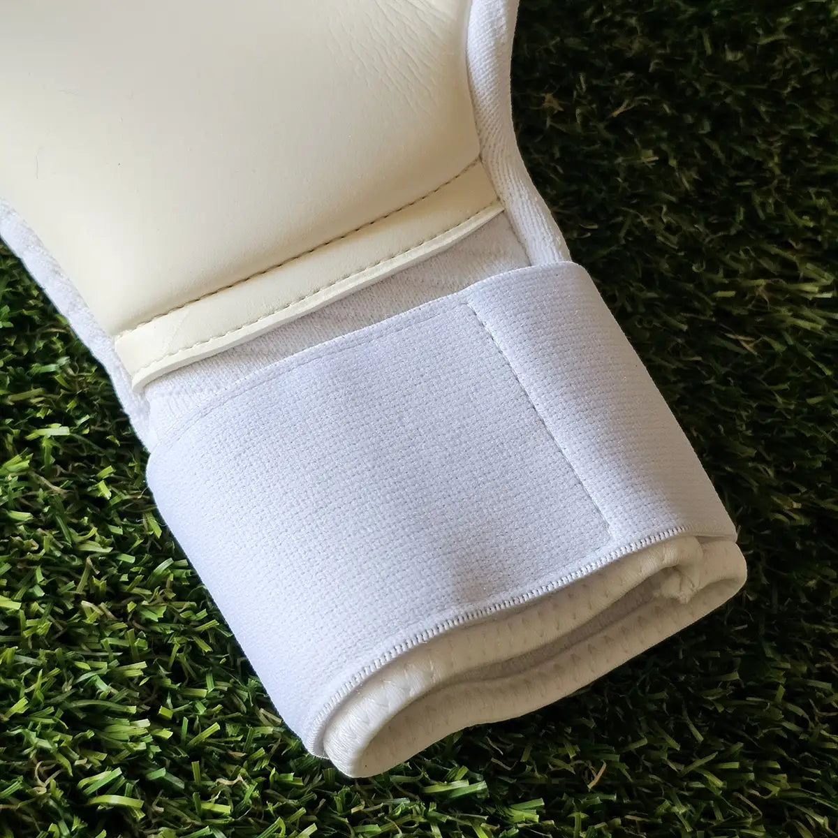 Guanti da portiere Puma Future Pro SGC Untamed base palmo