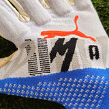 Guanti da portiere Puma Future Ultimate NC Forever dorso