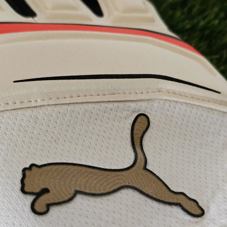 Guanti da portiere Puma King Pro RC The Arrival dorso
