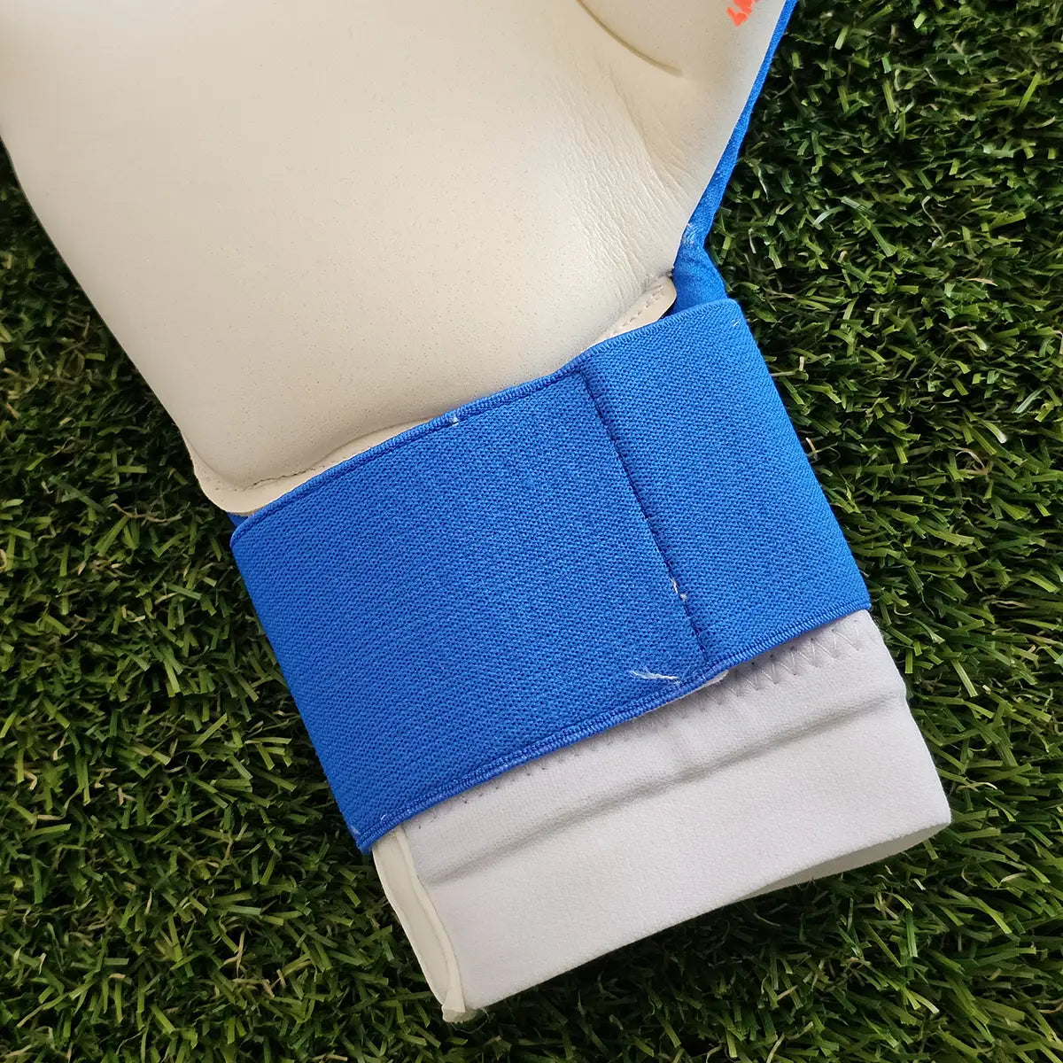 Guanti da portiere Puma Ultra Ultimate Hybrid Untamed base palmo