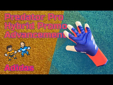 Predator Pro Hybrid Promo Advancement