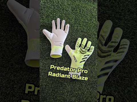 Predator Pro Radiant Blaze