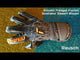 Attrakt Freegel Fusion Goaliator Desert Bloom
