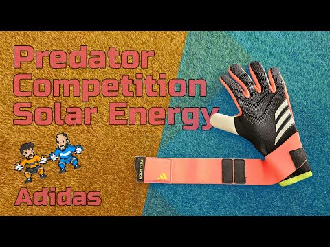Predator Competition Solar Energy