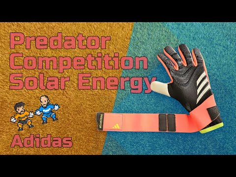 Guanti da portiere Adidas Predator Competition Solar Energy su