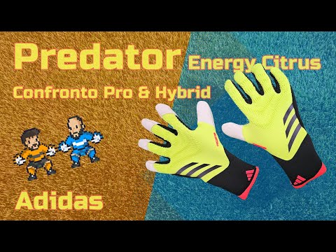 Predator Pro Energy Citrus