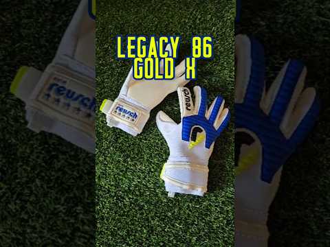 Legacy 86 Gold X