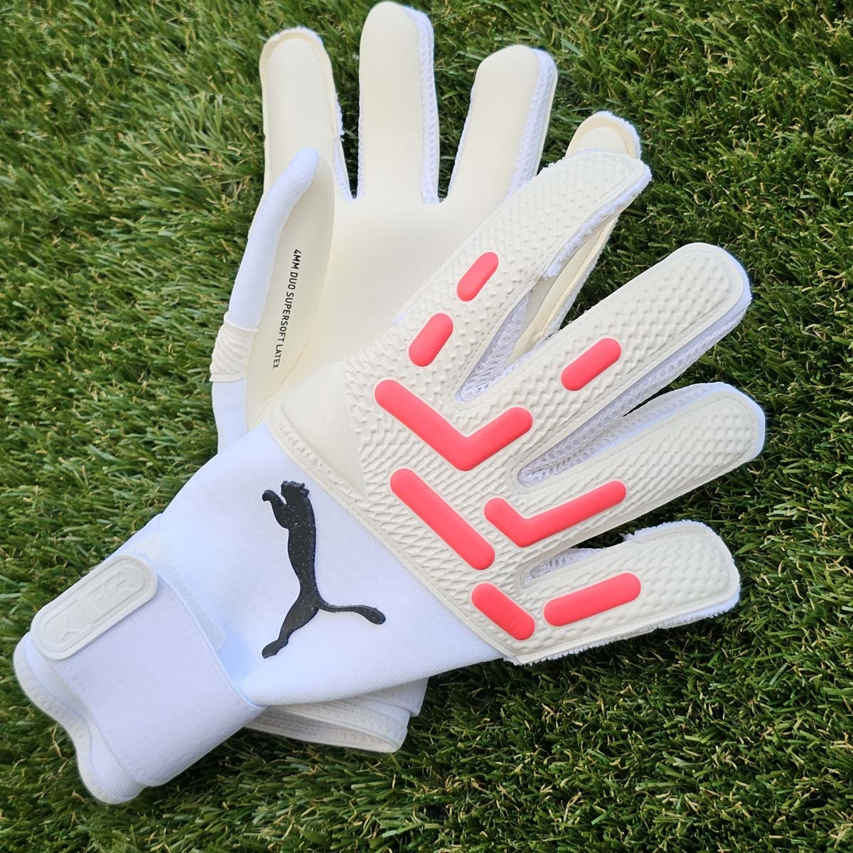 Future Pro Hybrid Breakthrough
