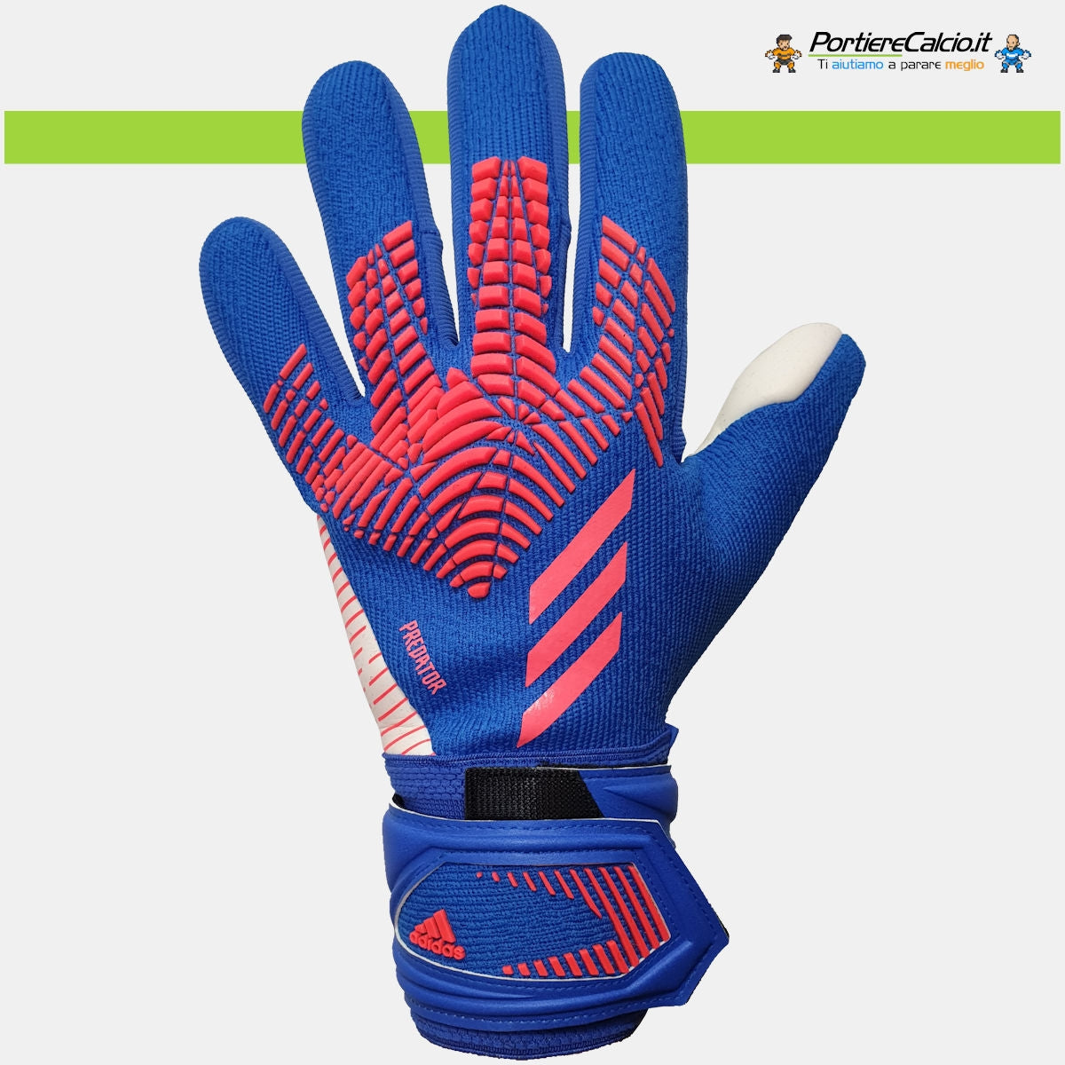 Predator League Sapphire Edge
