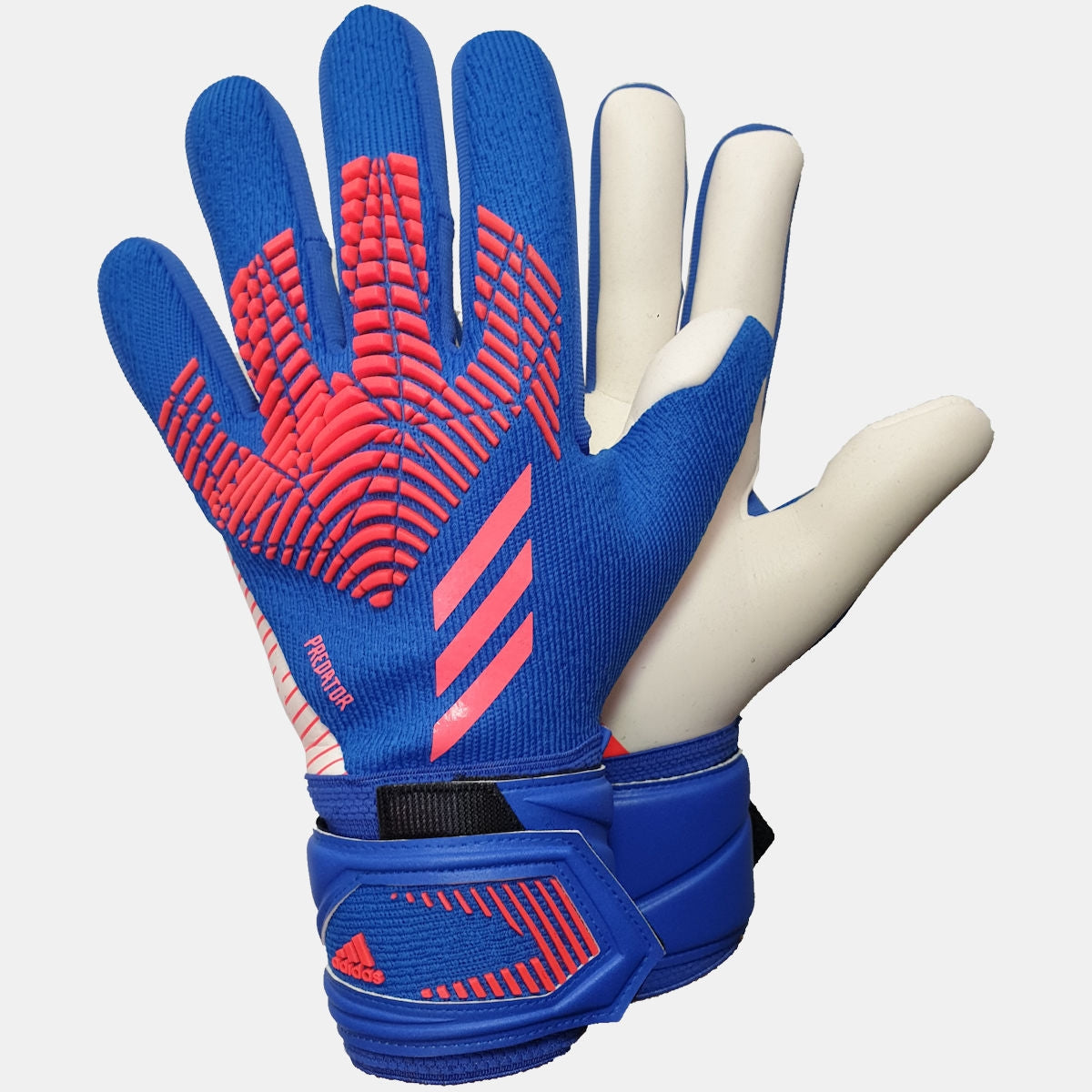 Predator League Sapphire Edge