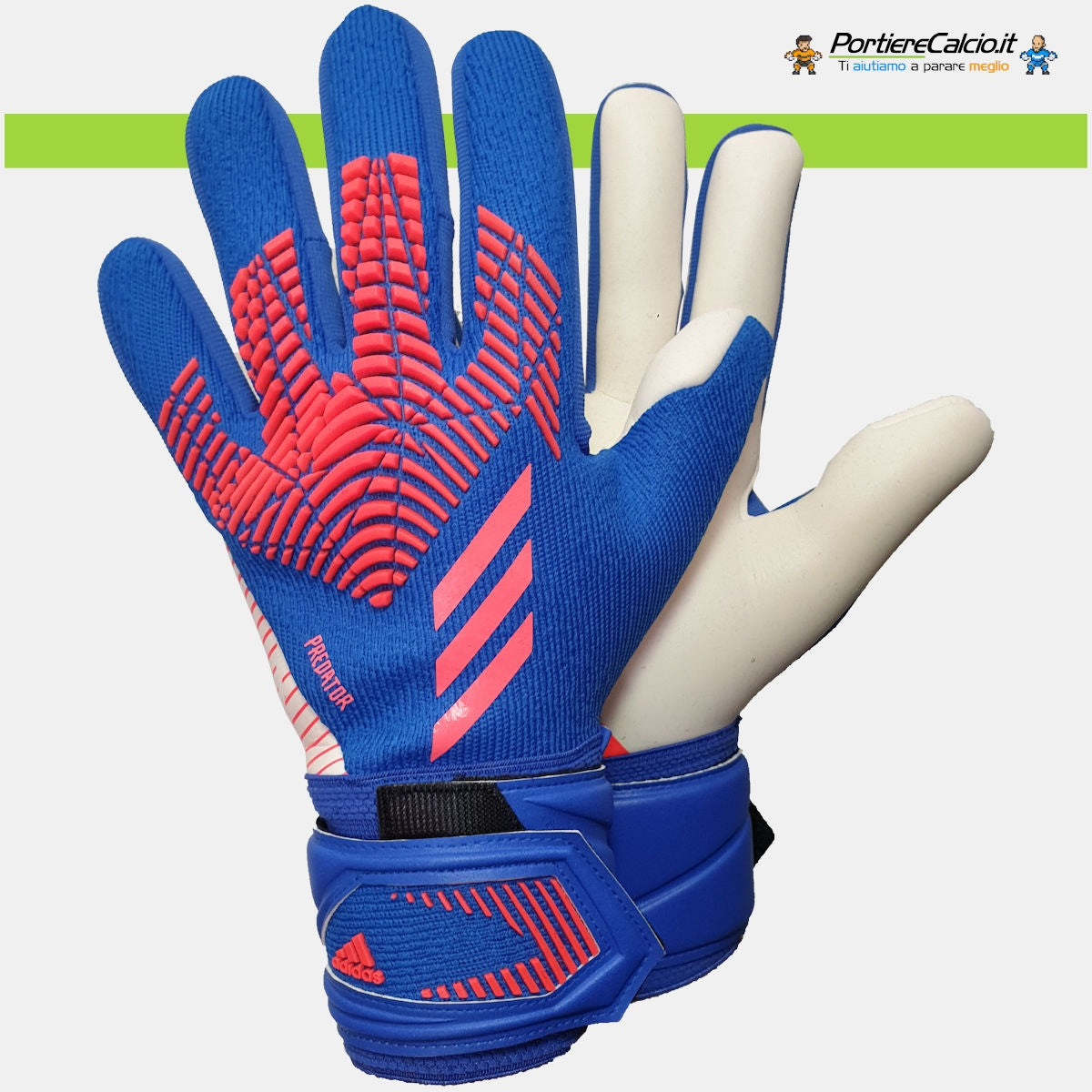 Predator League Sapphire Edge
