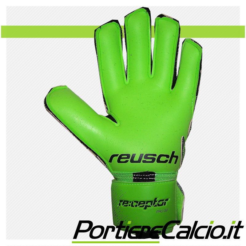 Receptor Pro G2